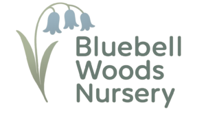 Bluebell_Woods_Nursery_Logo